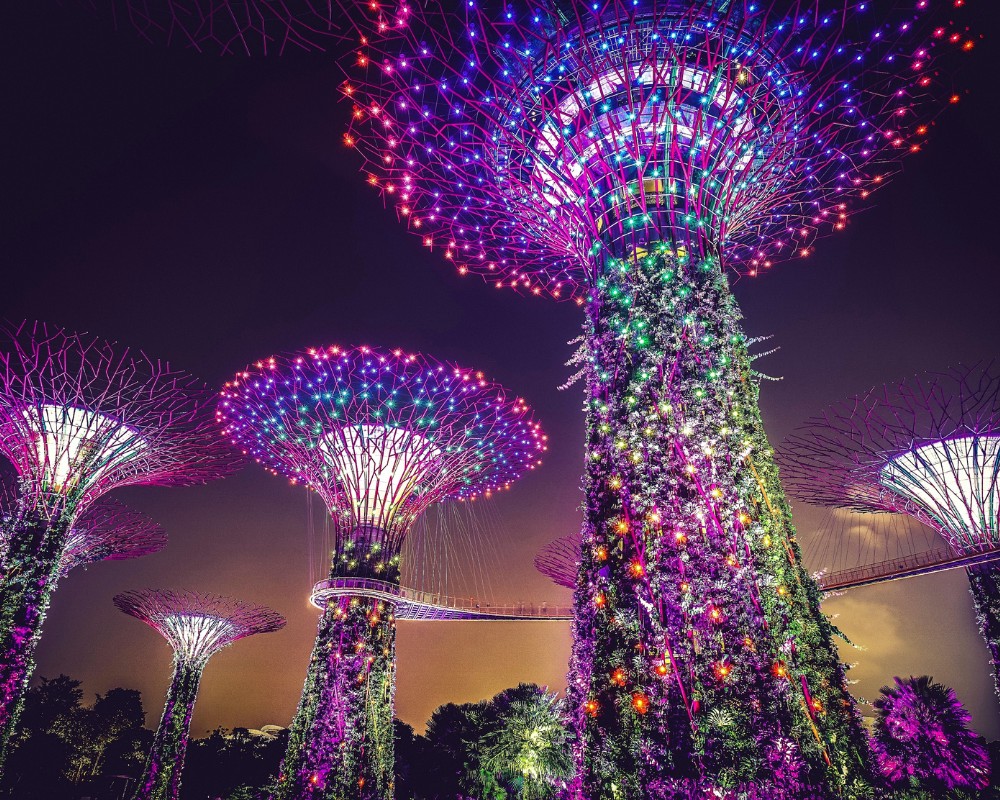 Gardens by the Bay singapore destination purrfect pilots