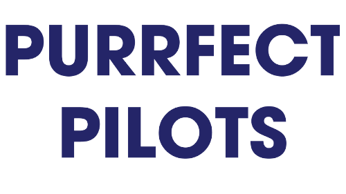 purrfect pilots navy blue log text