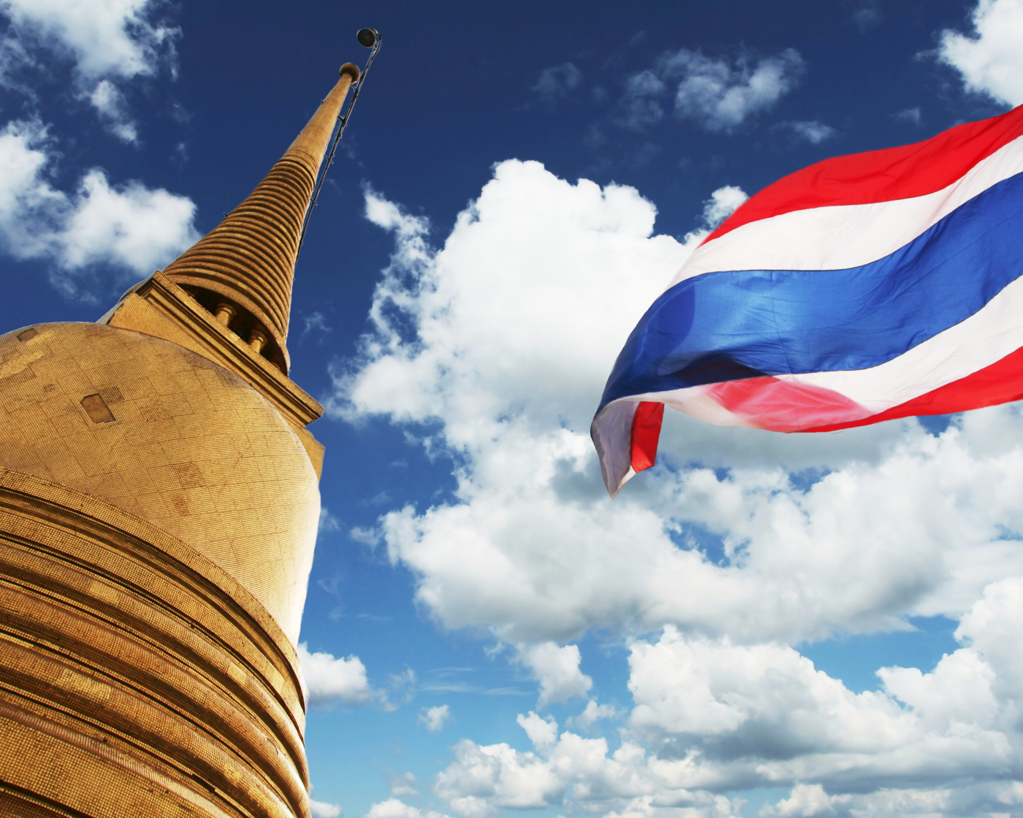 a sight of golden pagoda and thailand flag what you need to know about bringing pets to thailand purrfect pilots