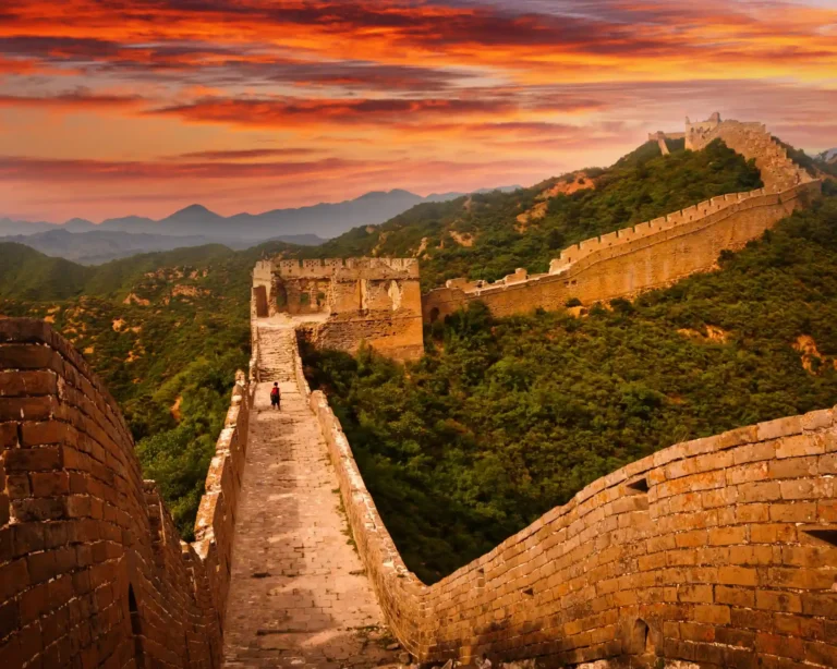 the great wall of china bringing pets to china purrfect pilots