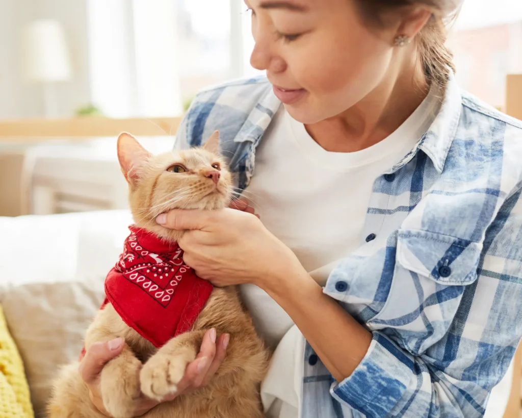 a woman caressing a ginger cat pet microchip purrfect pilots