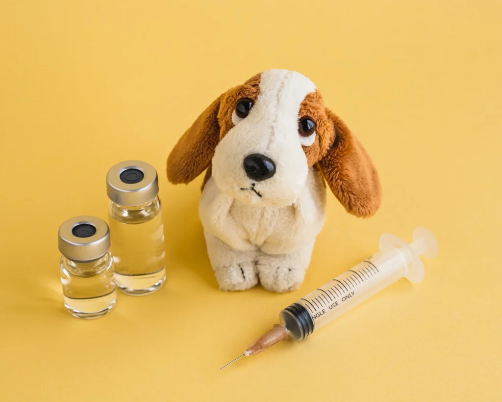 a stuffed animal sitting next to syringe and vaccine pet microchip purrfect pilots