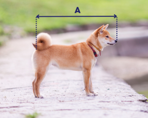 length measurement for pet crate size calculator