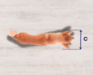 width measurement for pet crate size calculator