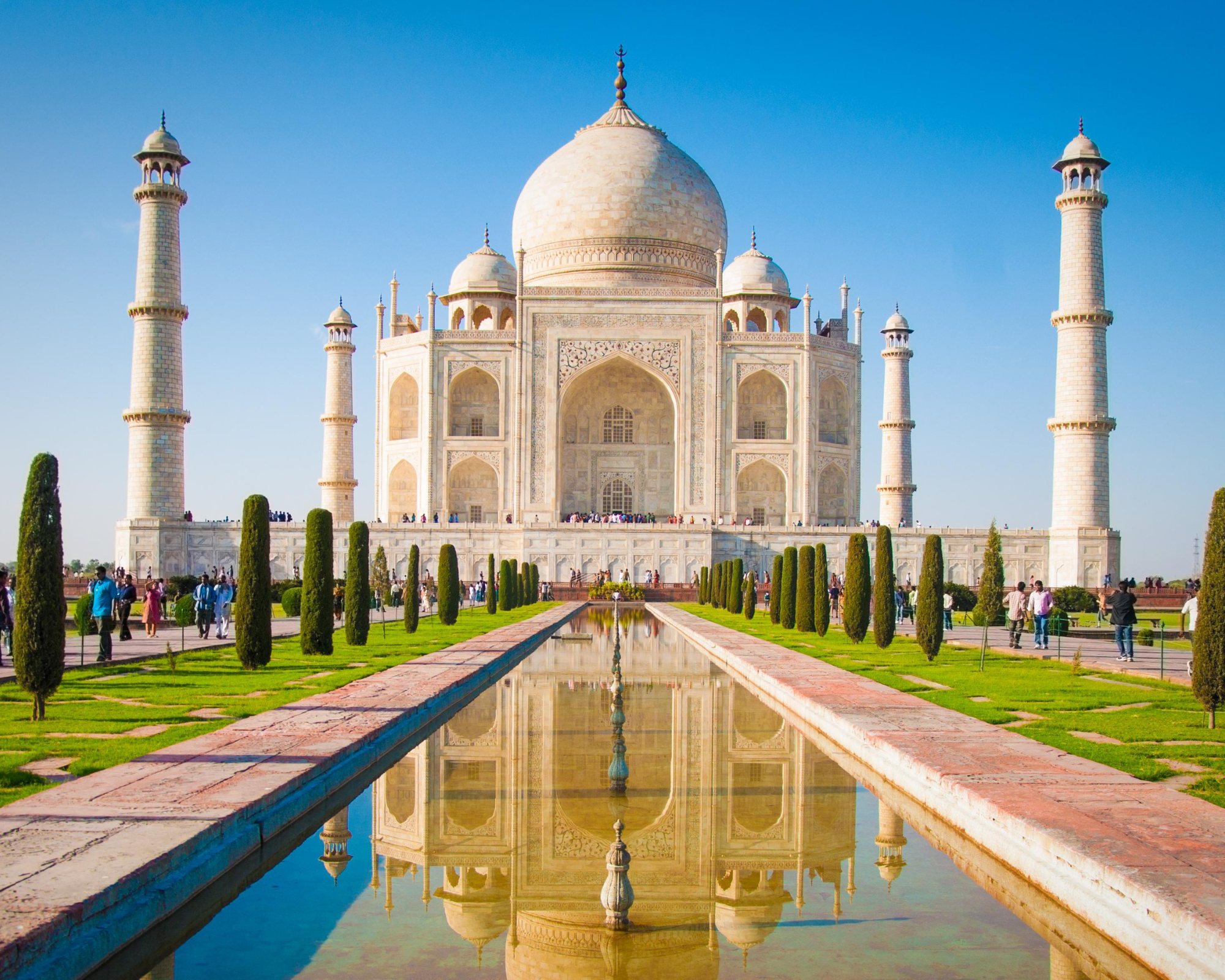 taj mahal in india bringing pets to india purrfect pilots