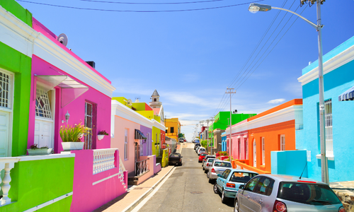 a landscape of cape town bringing pet dogs and cats to south africa purrfect pilots